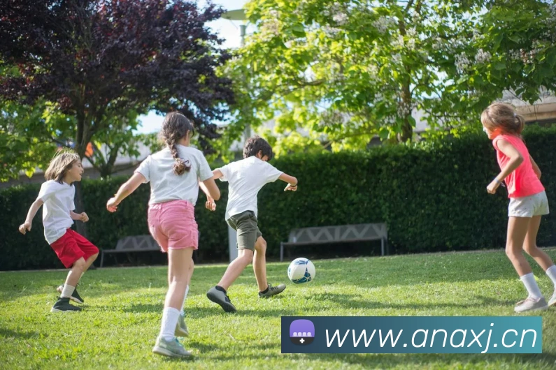 买球平台生态图